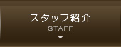 スタッフ紹介